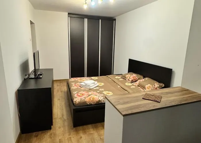 Comfort 2-room Obregia Si Budimex Hospitals Nu Ofer Factura